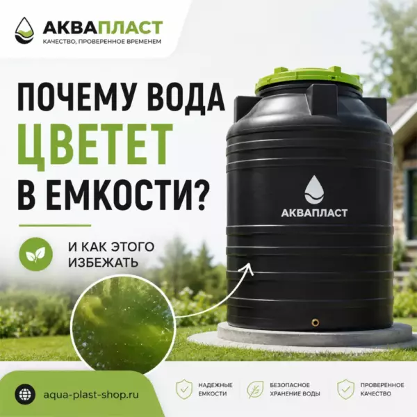 Почему вода в пластиковой емкости становится зеленой